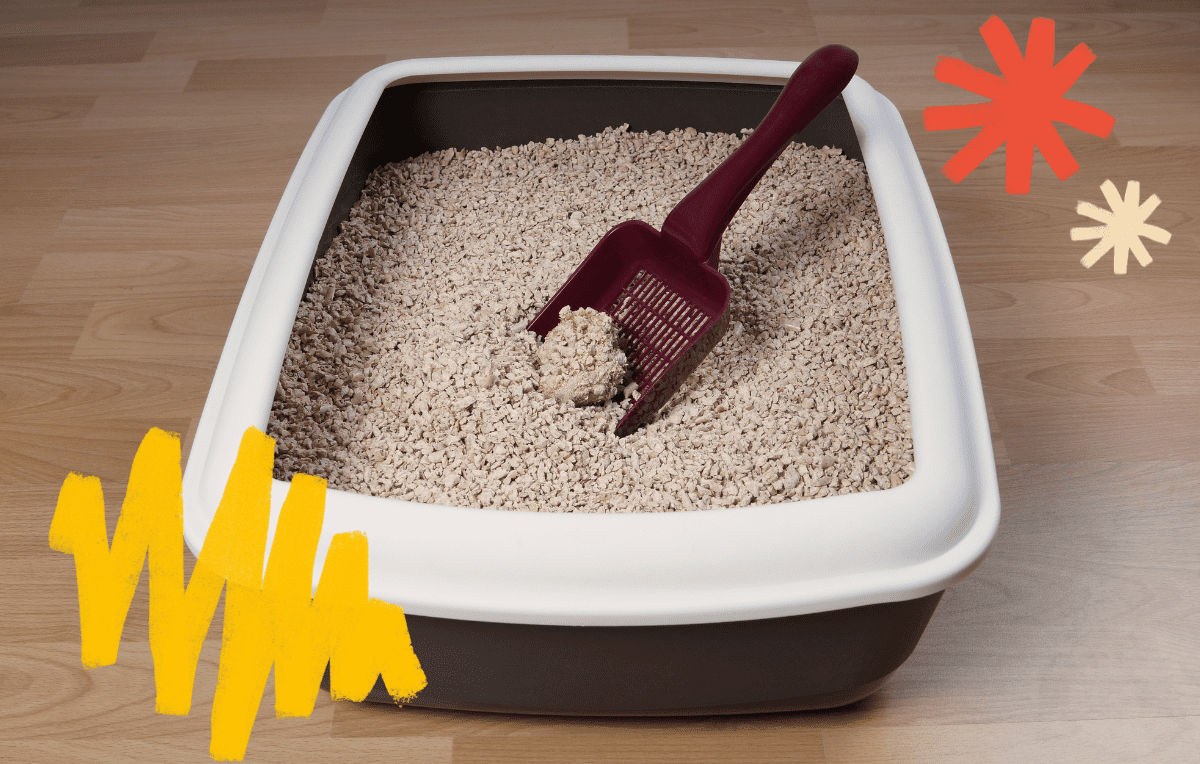 Litter box with a scoop 