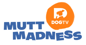 MuttMadness_Blue