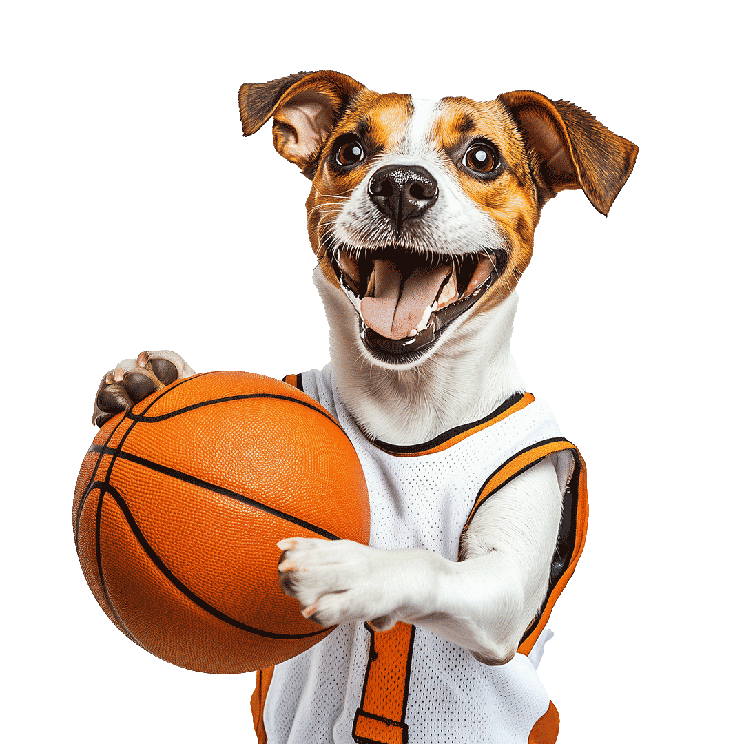 Dog-Holding-Basketball